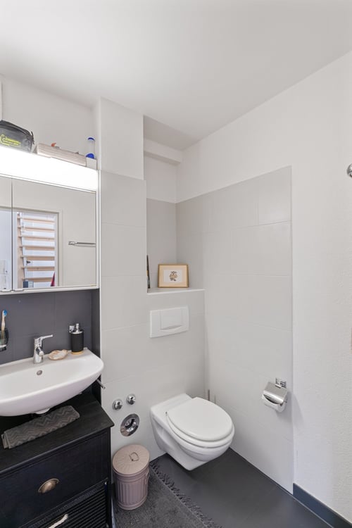 Wohntraum mit grosser Dachterrasse im Kreis 5 11