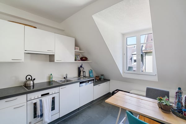 Wohntraum mit grosser Dachterrasse im Kreis 5 10