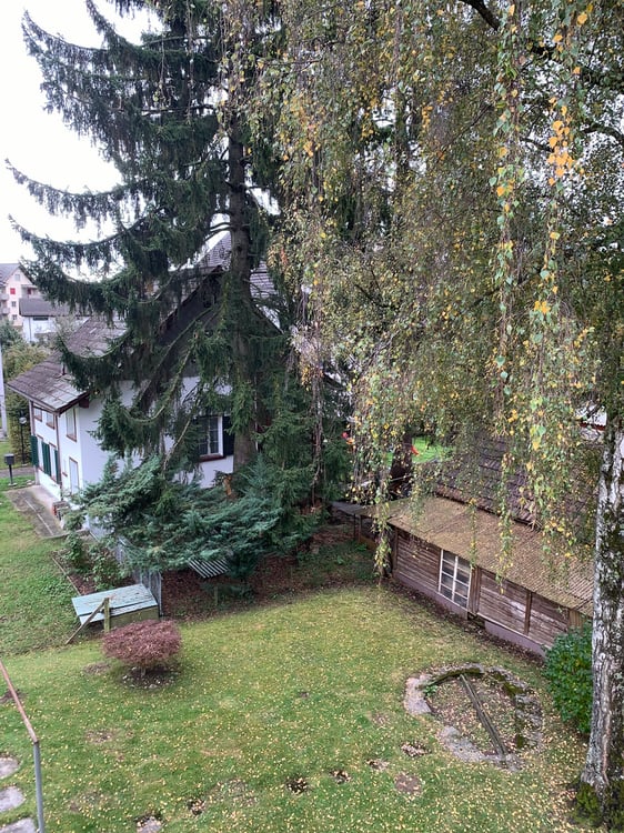 idyllische 3-Zimmerwohnung an ruhiger Lage in Wetzikon 5