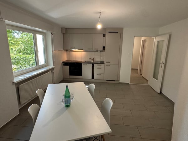 Frische Teil-renovierte 2. Zimmerwohnung in Herzen von Eglisau 2