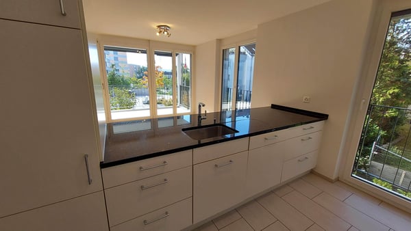 Sonnige 4.5-Zi-Wohnung exkl. Tiefgaragenparkplatz in 8052 Zürich 2