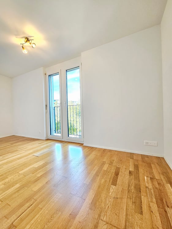 Sonnige 4.5-Zi-Wohnung exkl. Tiefgaragenparkplatz in 8052 Zürich 11
