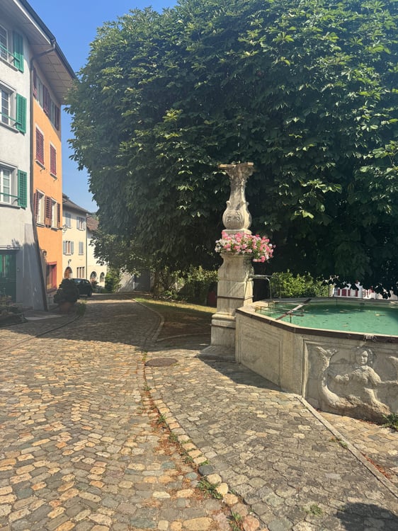 Das Leben ist im Fluss – doch will man es festhalten 6