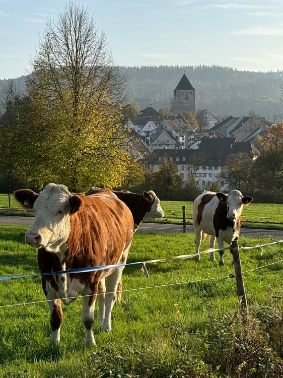 Das Leben ist im Fluss – doch will man es festhalten 2