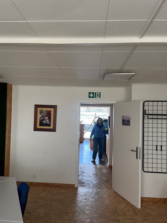 Local commercial à Louer pour le 1er mai 2025 4