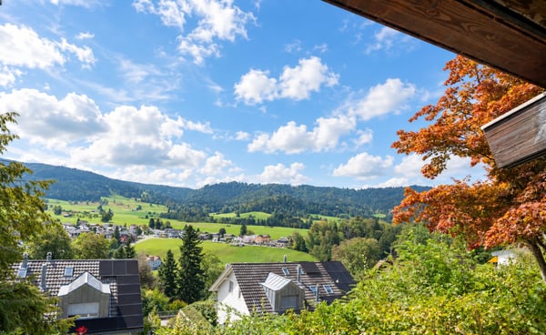 Rare Development Opportunity in a Prime Unterägeri Location 2