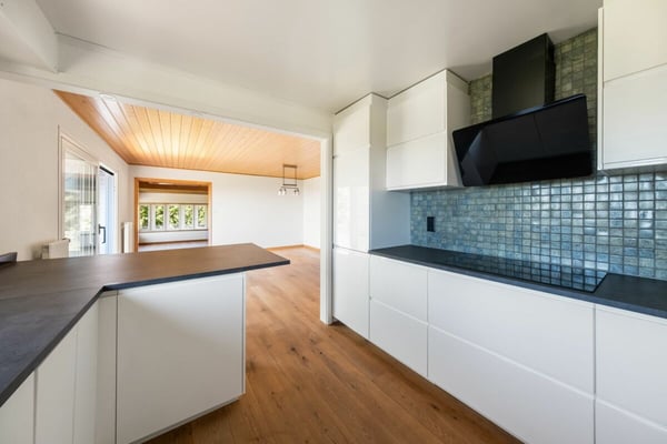 Villa individuelle de 8,5 pièces dans un environnement préservé 5