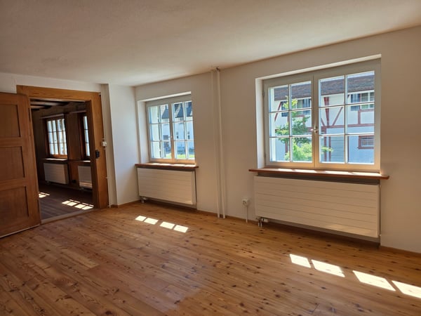 Erstbezug einzigartige 2,5-Zimmer-Wohnung nach Renovierung 3