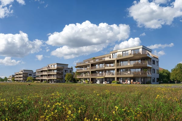 Moderne 3.5-Zimmer-Wohnung im Neubau in Eglisau 4