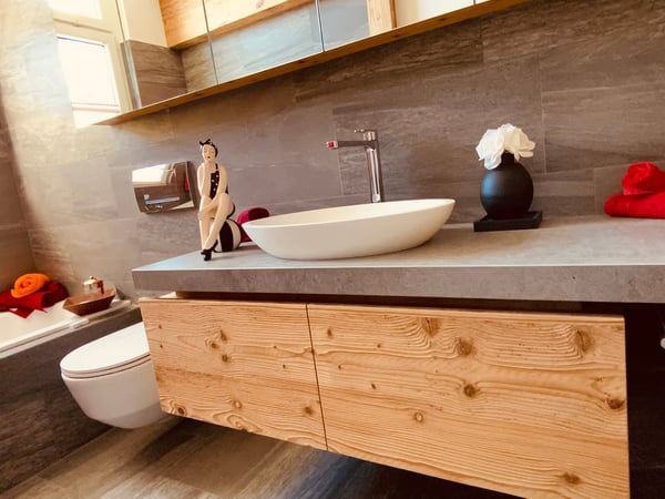 Attikawohnung am Sihlsee mit Sauna 4