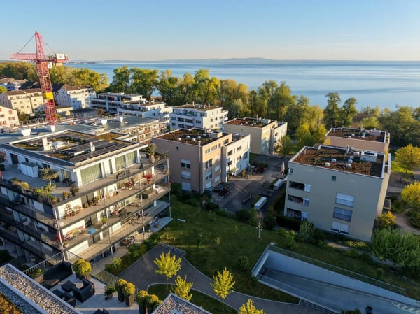 Arbon