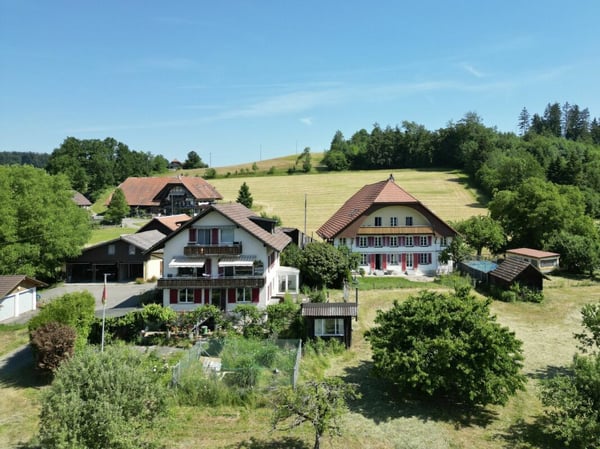 Einzigartiges Bauernhaus-Ensemble an idyllischer Lage mit viel Platz für Ihre Visionen