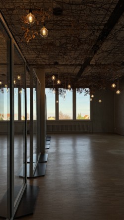 Exklusive Gewerbe- und Bürofläche mit Bodenseeblick 2