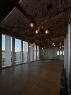 Exklusive Gewerbe- und Bürofläche mit Bodenseeblick 3