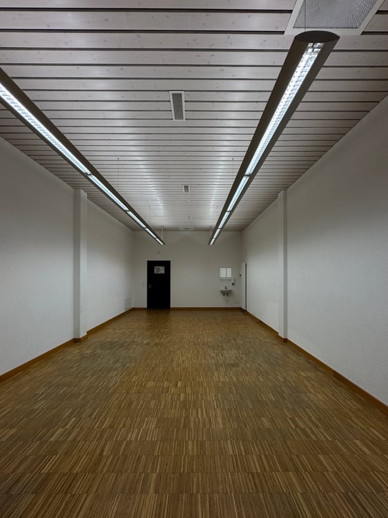 Exklusive Gewerbe- und Bürofläche mit Bodenseeblick 4