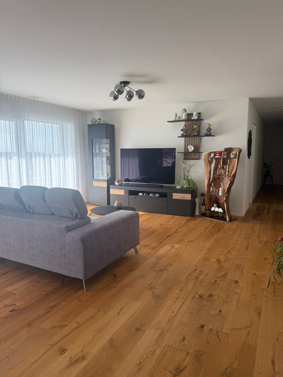 Moderne 4.5-Zimmer Attikawohnung mit Landblick 5