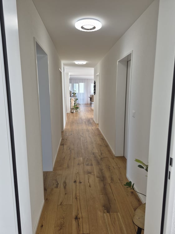Moderne 4.5-Zimmer Attikawohnung mit Landblick 6