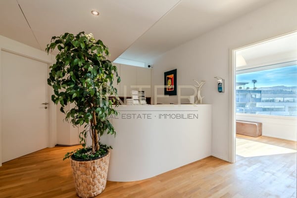 Aperçu de l'image de l'immobilier