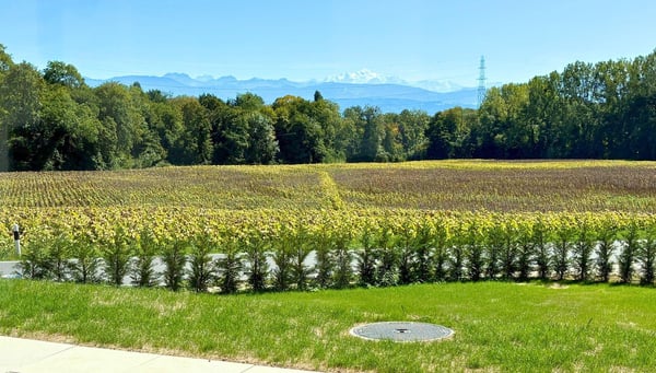 A louer - Villa familiale neuve avec terrasse et jardin 3