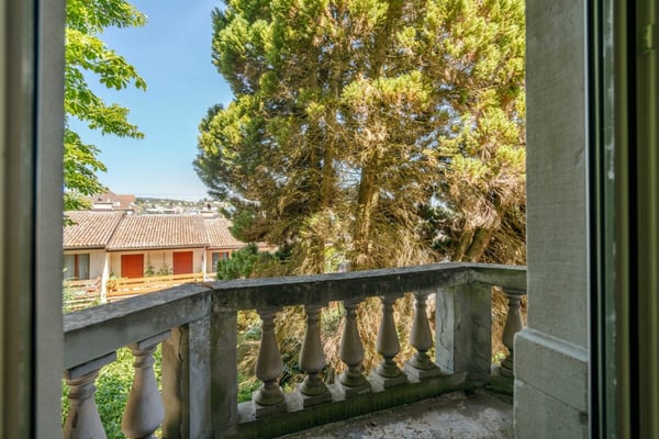 Villa Dreifuss - Wo Geschichte ein neues Kapitel schreibt 13