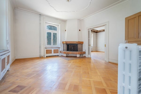 Villa Dreifuss - Wo Geschichte ein neues Kapitel schreibt 6