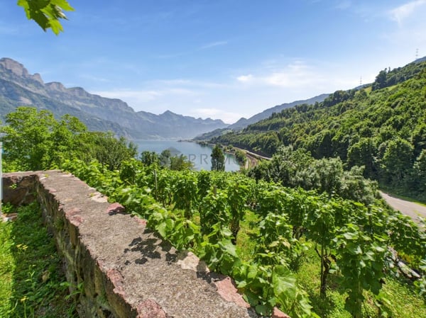 Hotel & Restaurant mit Einliegerwohnungen, Rebberg und Bauland in Premiumlage am Walensee 6