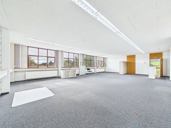 Viel Raum, viele Möglichkeiten - Gewerbeliegenschaft mit Bodensee-Charme 6