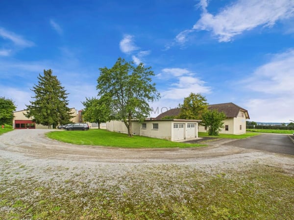 Viel Raum, viele Möglichkeiten - Gewerbeliegenschaft mit Bodensee-Charme 11