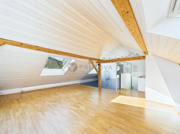 Kein 0815 Mehrfamilienhaus. Eines mit Platz, Licht und Raum für viel Kreativität! 4