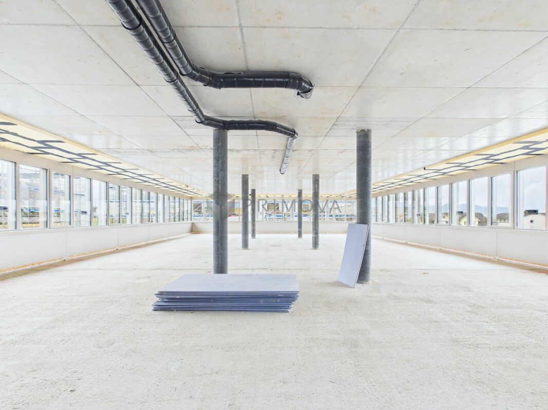 Zentrumsentwicklung Diepoldsau: Raum für Ihre Visionen - Bezugsbereit Sommer 2026!
