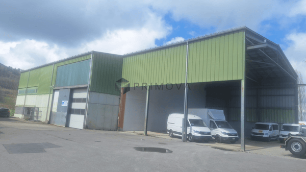 Gewerbehalle mit Aussenfläche - ideal für Logistik und Transport 2