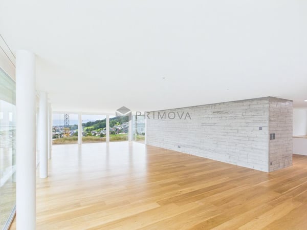 Exklusive Attikawohnung mit Panoramasicht auf den Bodensee 4