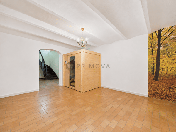 Ein Stück Basler Zeitgeschichte: Unvergleichliches Stadtpalais mit Pool & Sauna 7