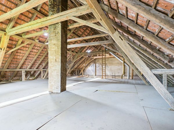 Gepflegtes Bauernhaus mit grosser Baulandreserve im schönen Seeland 13