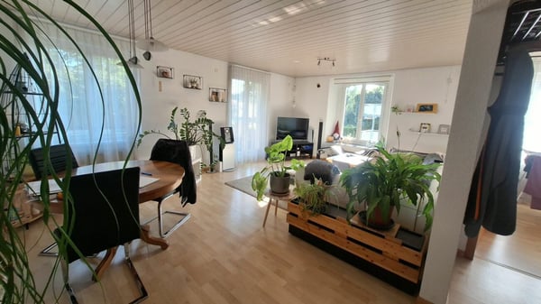 Drei-Familienhaus mit grosser Garage/Werkstatt 14