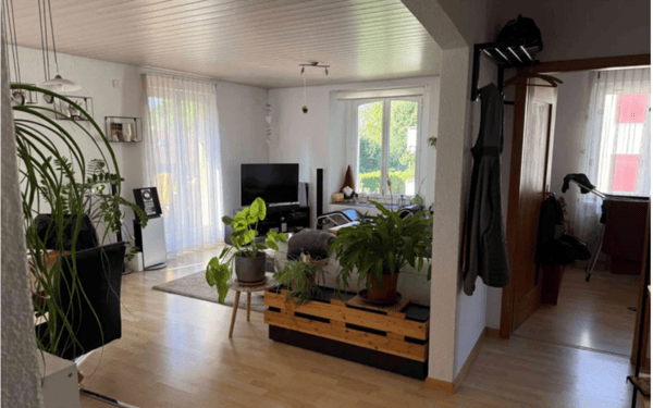 Drei-Familienhaus mit grosser Garage/Werkstatt 2