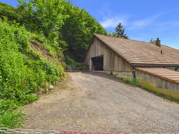 Platzwunder in Grasswil mit 4.5 Zimmern und zusätzlich 160 m² vorbereitetem Dachstock 10