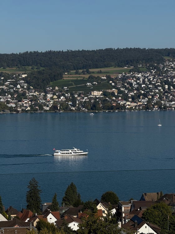Zwei exklusive Villen in Kilchberg & Rüschlikon | Two exclusive Villas in Kilcherg & Rüschlikon 13