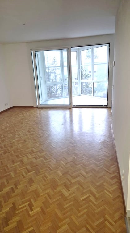 Spacieux et lumineux 1.5 pièces Au deuxième étage! Grand Balcon et Parking ! 4