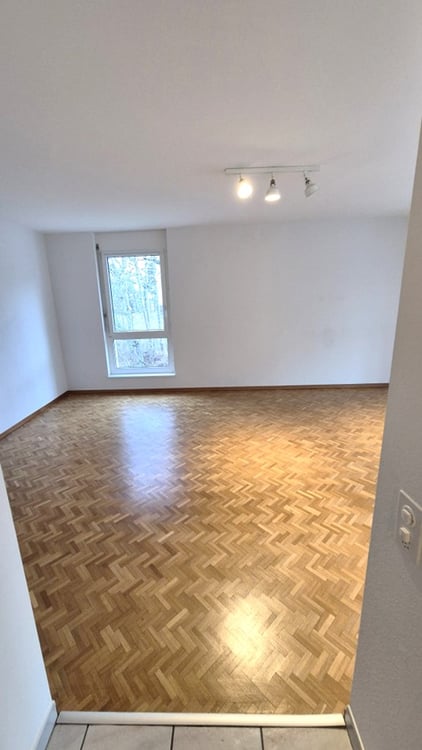 Spacieux et Charmant 1.5 pièce avec Grand Balcon et Parking  ! 11