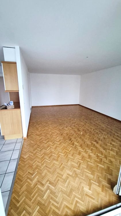 Spacieux et Charmant 3.5 pièce avec Grand Balcon et Parking ! 3