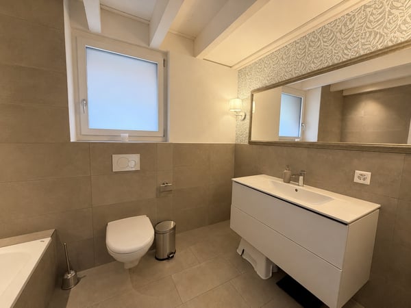 Modernes 6.5-Zimmer-Doppeleinfamilienhaus in Flüh 7
