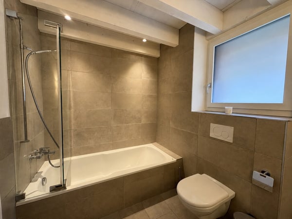 Modernes 6.5-Zimmer-Doppeleinfamilienhaus in Flüh 6
