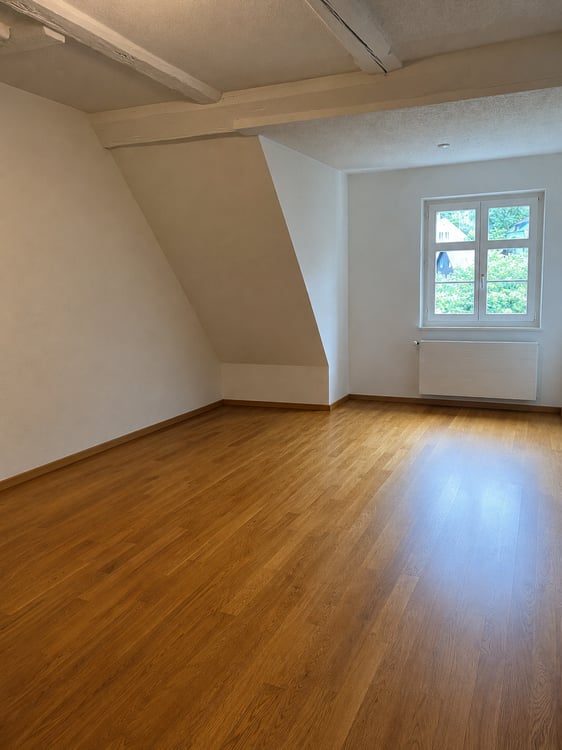 Gemütliche 3-Zimmer-Wohnung in Flüh 5