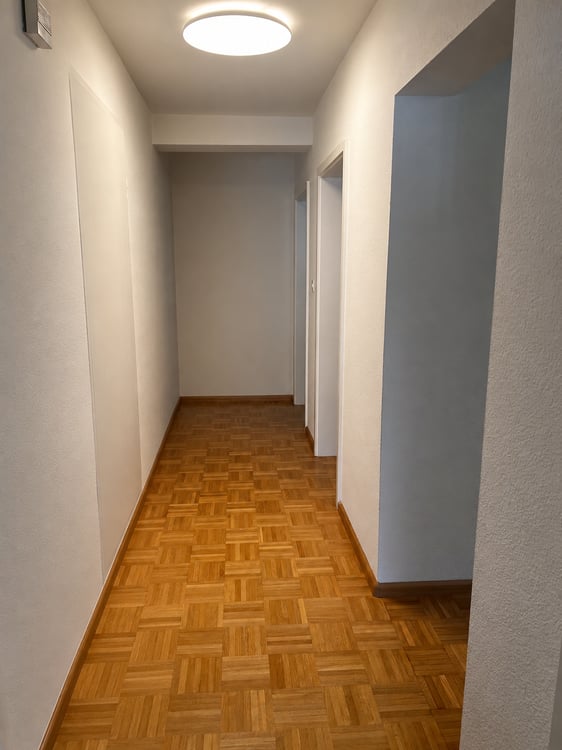 Gemütliche 3-Zimmer-Wohnung in Flüh 3