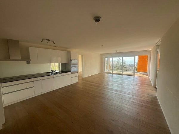 Superbe appartement avec terrasse et vue lac à couper le souffle 2