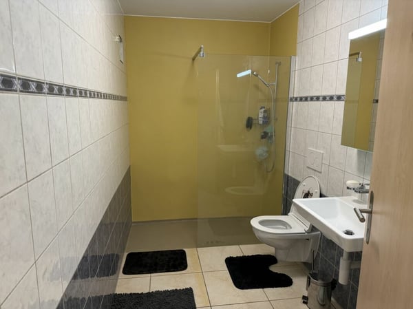 Châtel- Saint-Denis Appartement 11 - A8 12