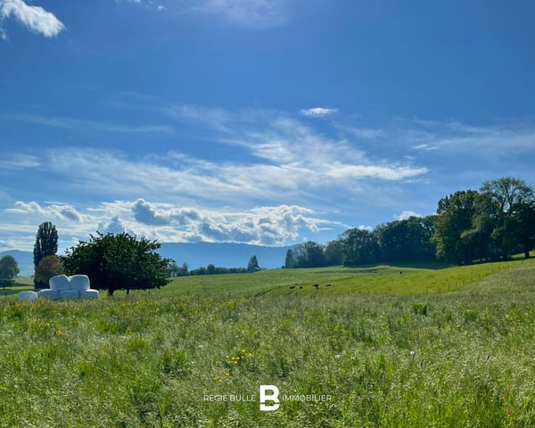 Vuisternens-en-Ogoz - Superbe studio à louer 6
