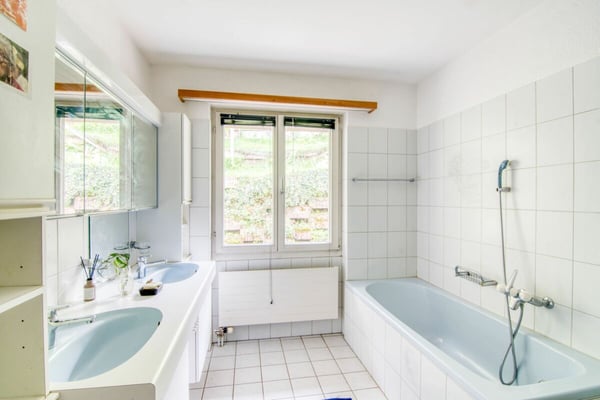 Grosszügiges 2.5-Zimmer-Einfamilienhaus mit Einliegerwohnung, Doppelgarage, 1'053 m² Gartenparadies und Weitsicht auf die Alpen 22