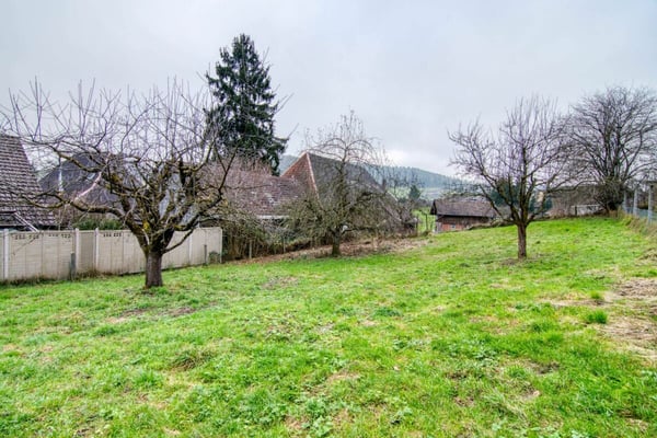 Investitionschance: 750 m² Baulandreserve mit Entwicklungspotenzial in ruhiger Umgebung 3